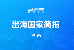 kdpay钱包官网GO GLOBAL | 巴西国家简报