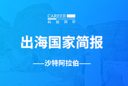 kdpay钱包官网GO GLOBAL | 沙特阿拉伯国家简报